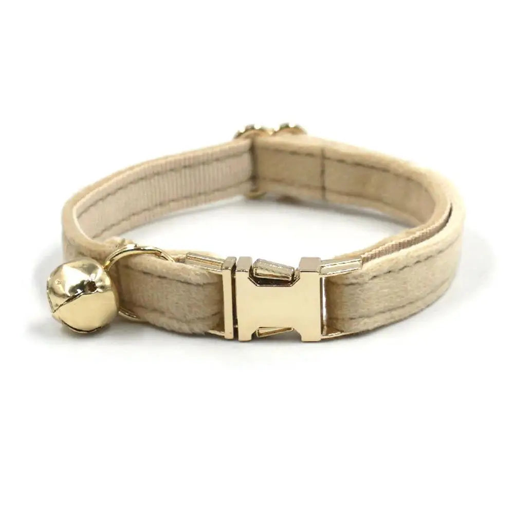 Free Engraving Customized Multicolor Soft - ProPawPet.com