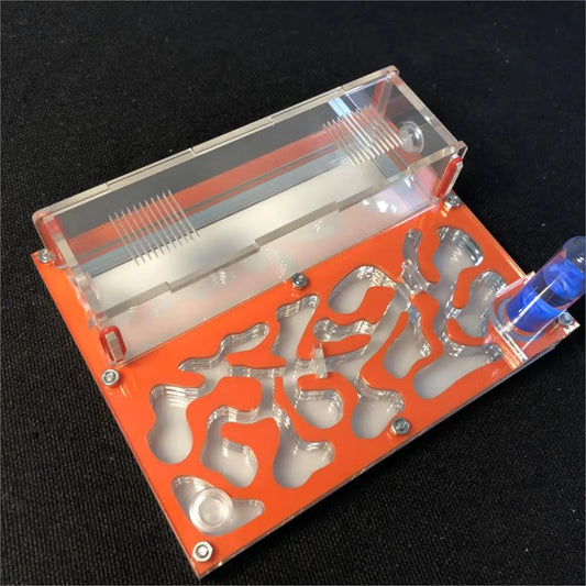 150mmx110mm test tube Moisture big space Ant - ProPawPet.com