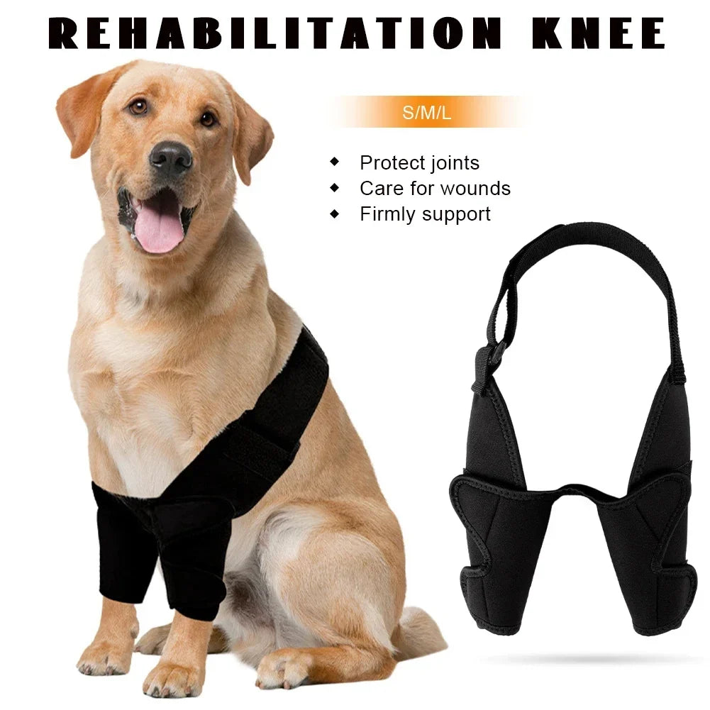 Dog Full Elbow Brace Protector for Torn - ProPawPet.com
