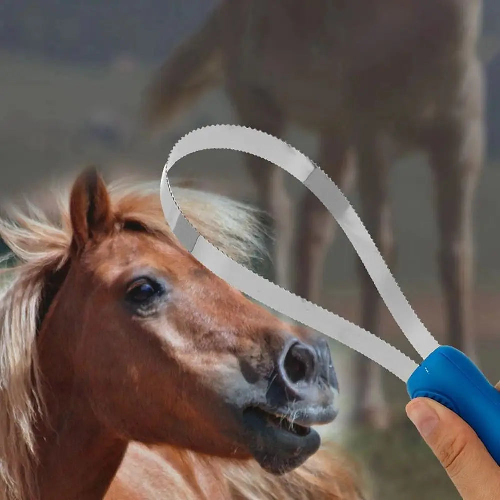 1Pcs Durable Nonslip Horse Grooming Comb - ProPawPet.com