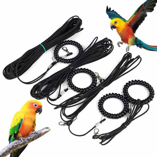 2M-10M Pet Bird Outdoor Training Harness - ProPawPet.com