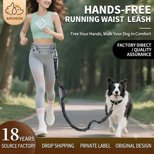 Reflective Retractable Dog Leash Anti Pull - ProPawPet.com
