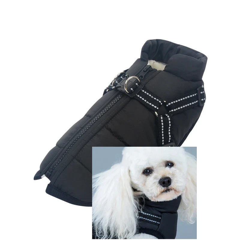 Customizable Winter Dog Clothes Collars, - ProPawPet.com