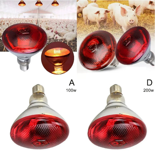Breeding Heating Lamp E27 220V 100-275 Watts - ProPawPet.com