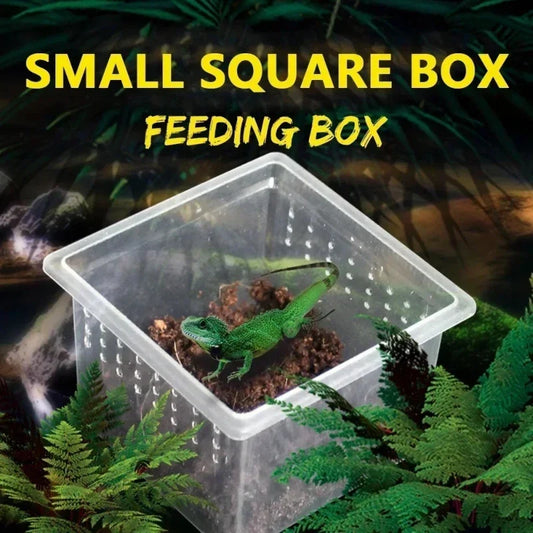 10 Feeding Box Reptile Cages Incubation - ProPawPet.com