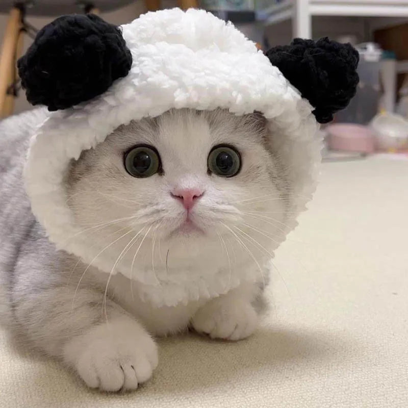 Pet Hat Cat Headgear Lion Rabbit Ears Dog – Small Pet Supplies