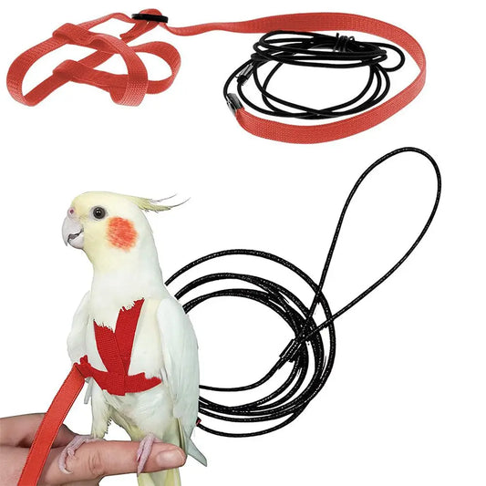 Training Flying Traction Rope Anti-Bite - ProPawPet.com