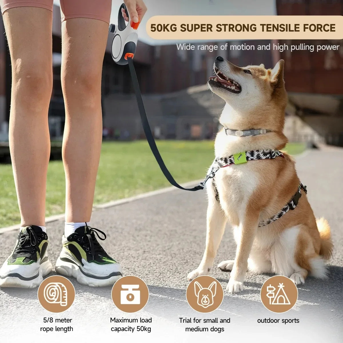 5m 8m 50kg Dog Leash Retractable Roulette - ProPawPet.com