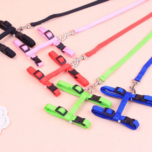Hot-selling cat chest strap simple design - ProPawPet.com