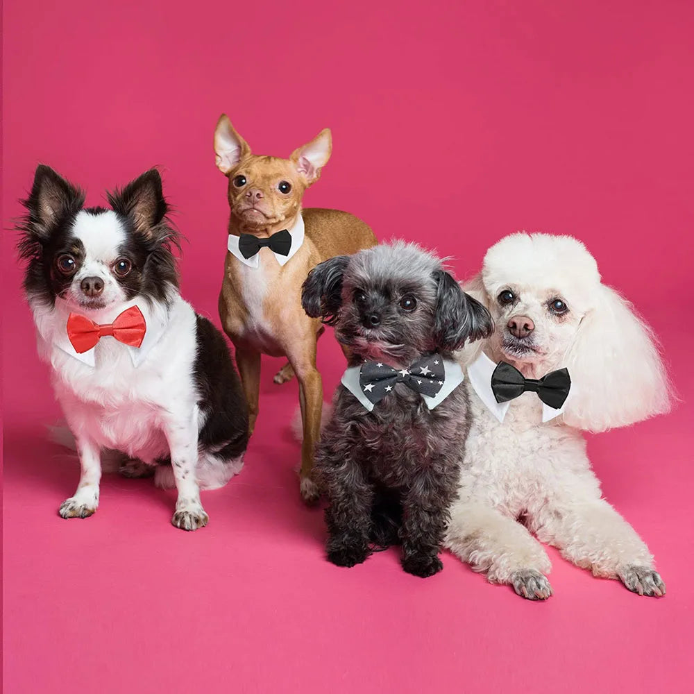 Adjustable Formal Pet Bowtie Collar Neck Tie - ProPawPet.com