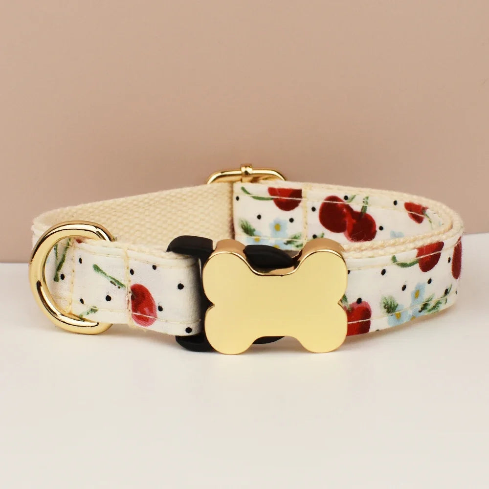 Premium Custom Engraved Dog Collar for Small - ProPawPet.com