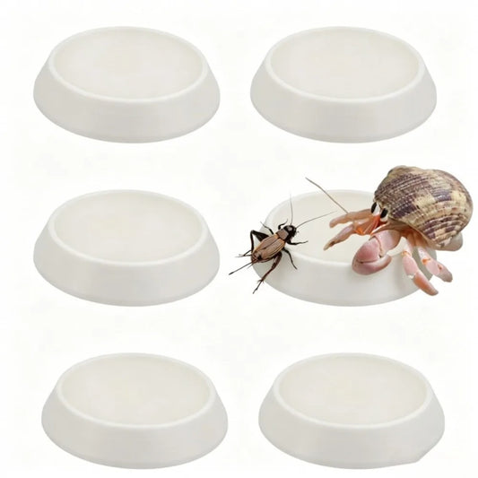 6pcs Portable Reusable Reptile Feeding Dish - ProPawPet.com