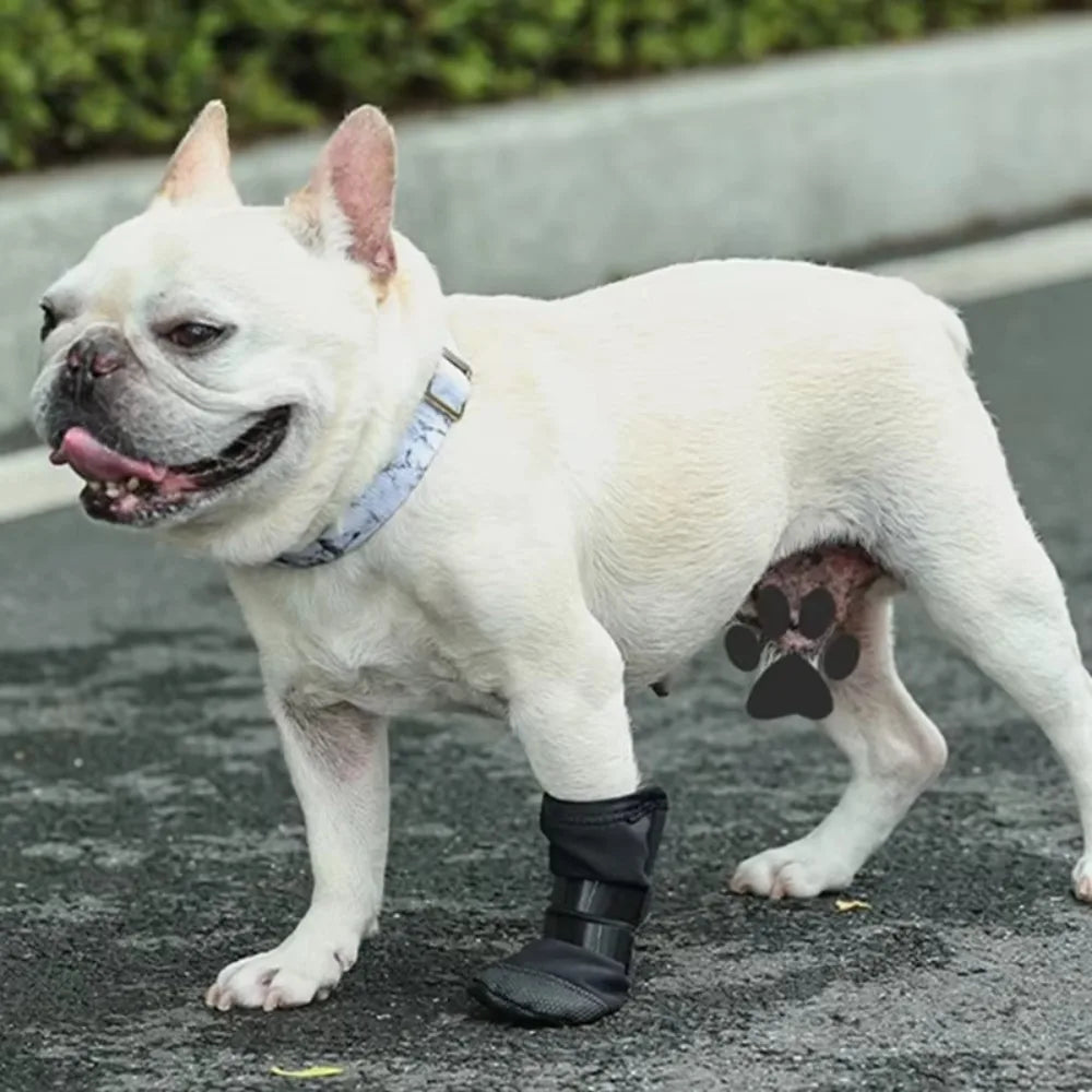 Dog Wound Recovery Boot Paws Protector - ProPawPet.com