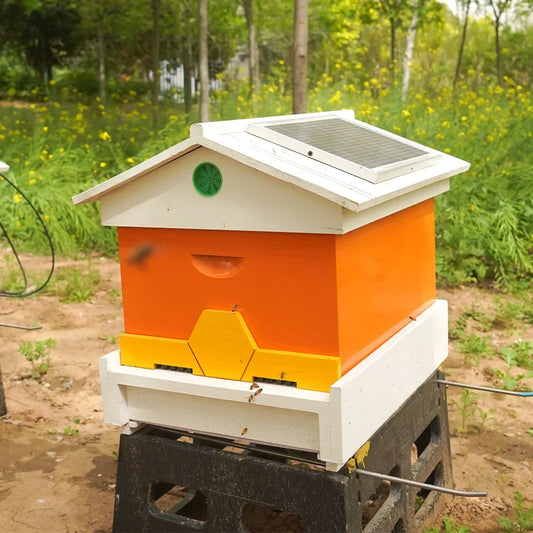 Price Digital Intelligent Bee Hive - ProPawPet.com