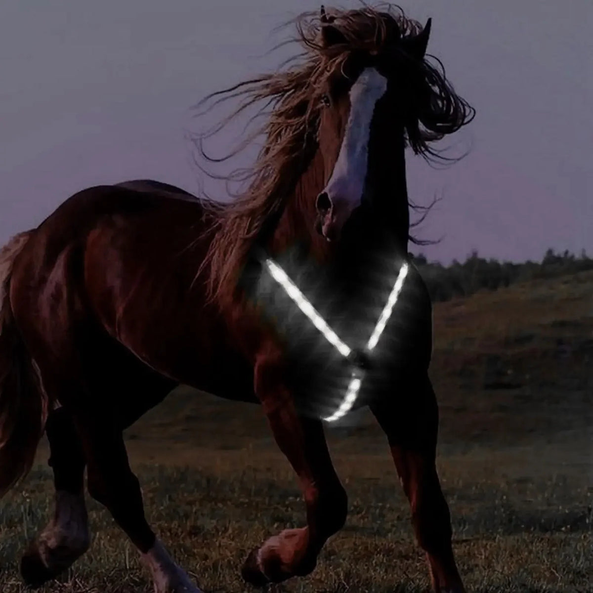 Durable LED Horse Breastplate Collar Harness - ProPawPet.com