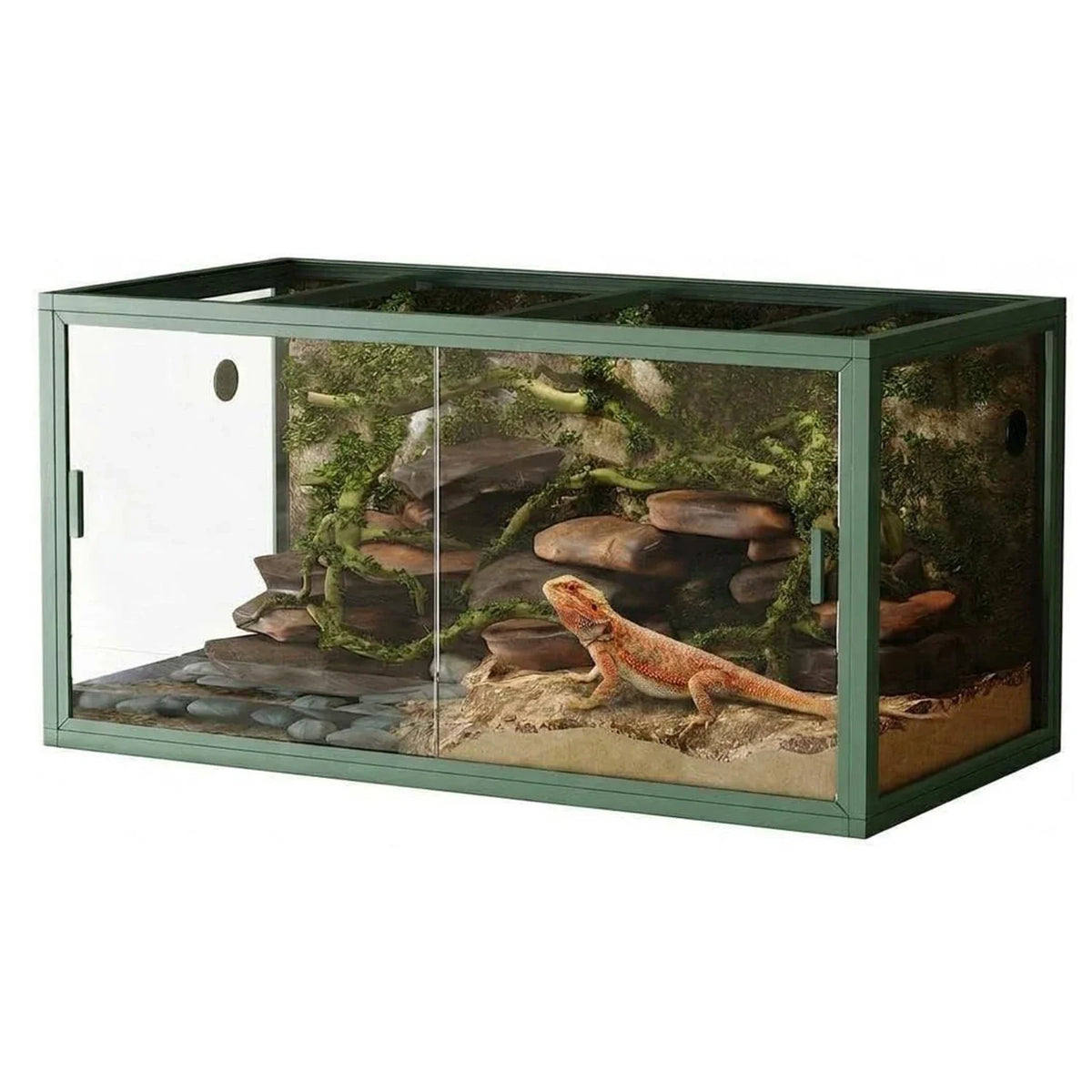 120 Gallon Reptile Terrarium, 4x2x2 Ft Front Opening Glass – 2 Colors