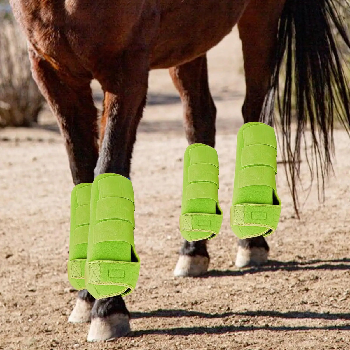 4 Pieces Horse Boots Breathable Neoprene Leg - ProPawPet.com