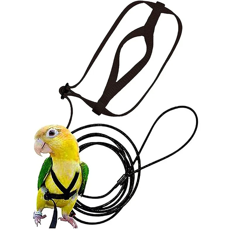 Anti-Bite Bird Harness Leash Set Parrot - ProPawPet.com