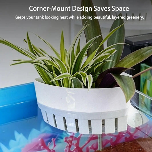 Aquarium Plant Basket Hydroponic Fish Tank - ProPawPet.com