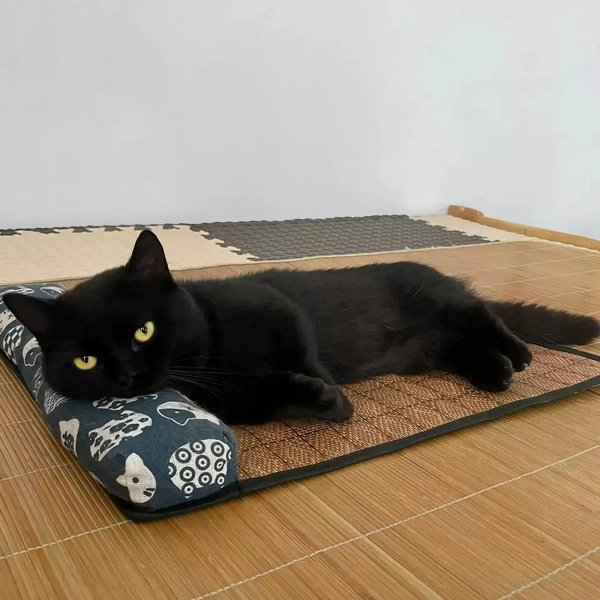 Cat Natural Cooling Mat Summer Pet Self - ProPawPet.com