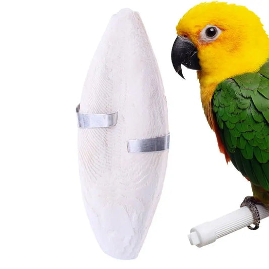 Bird Cuttle Bone Natural Bird Cuttlebone - ProPawPet.com