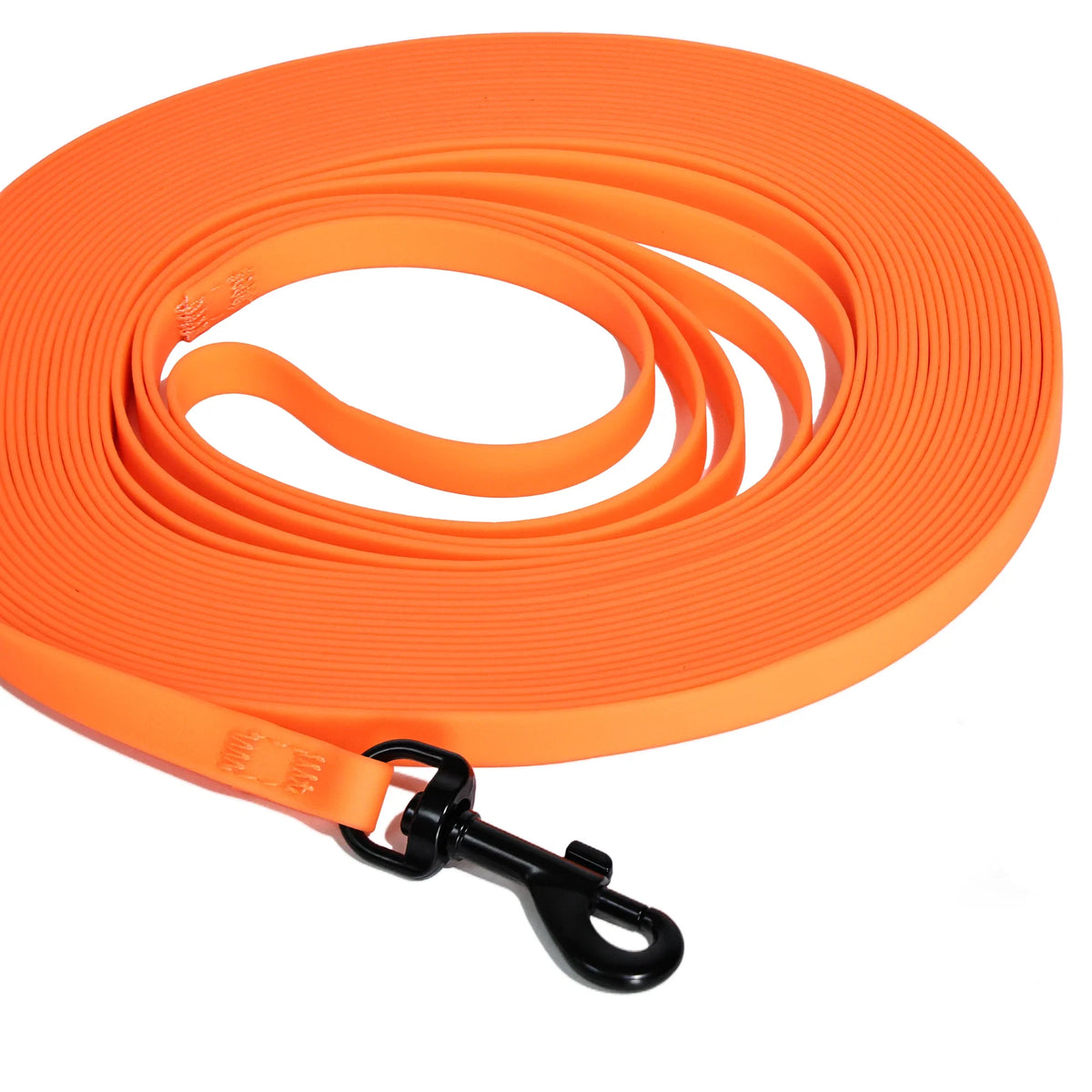 Waterproof PVC Long Cat Training Leash - ProPawPet.com