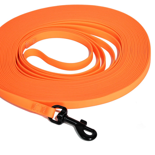 Waterproof PVC Long Cat Training Leash - ProPawPet.com