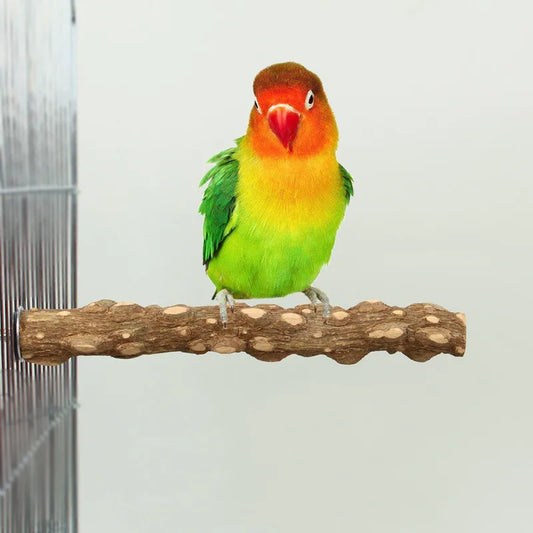 15/20/30 cm Bird Claw Beak Grinding Bar - ProPawPet.com