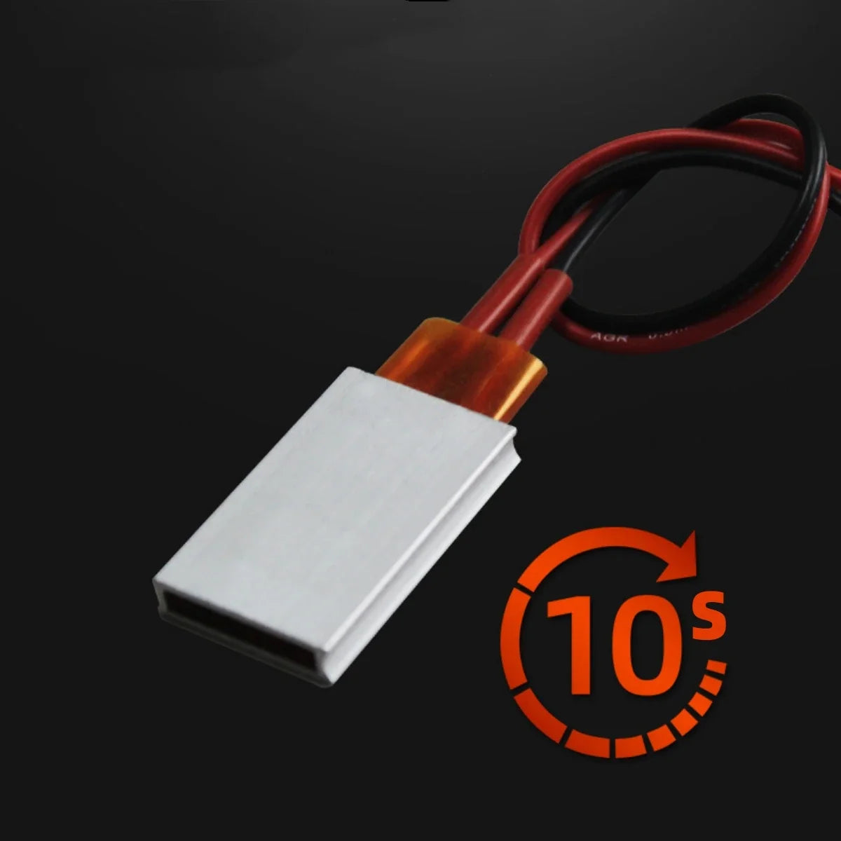 2Pcs PTC Heating Element 220V/12V 0-220 - ProPawPet.com