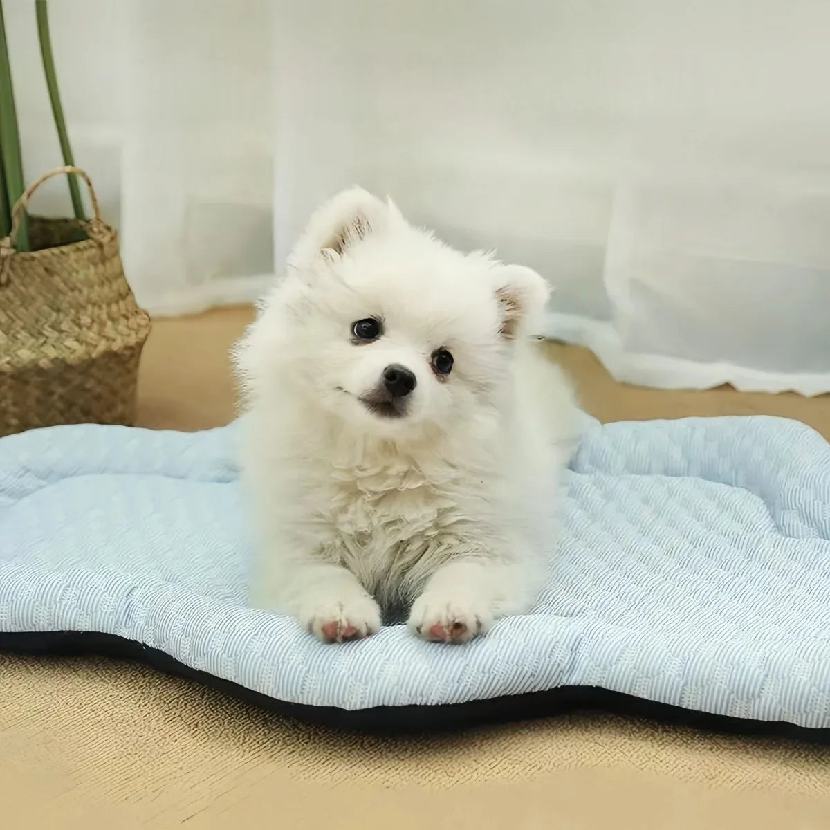 Cooling Mat Dog Accesories Summer Kennel - ProPawPet.com