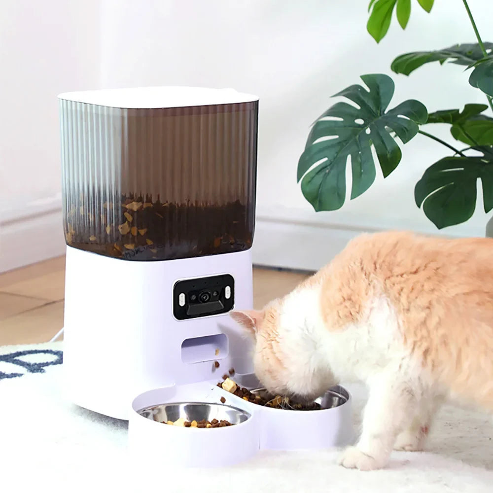 5L Double Bowls Smart Automatic Cat Feeder - ProPawPet.com