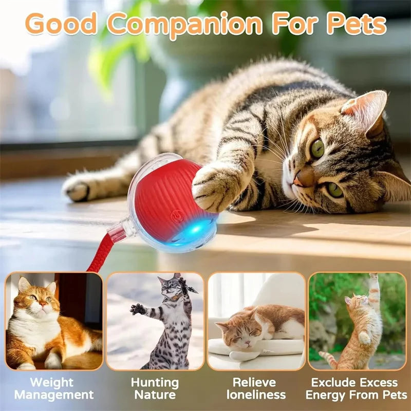 Dog Cat Interactive Ball Toy Automatic - ProPawPet.com