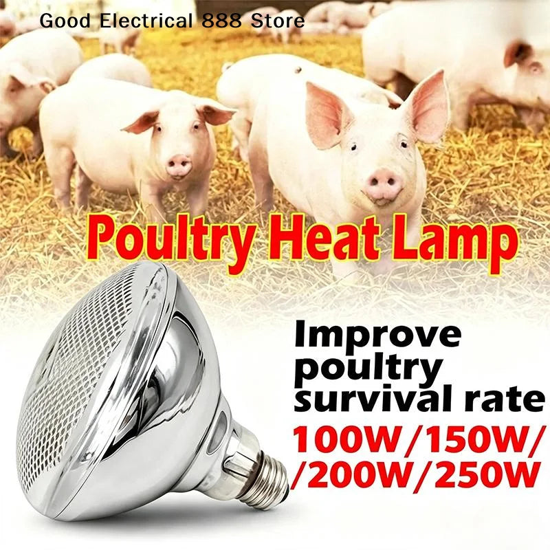 【G】100W/150W/200W/250W Infrared Heat Lamp - ProPawPet.com