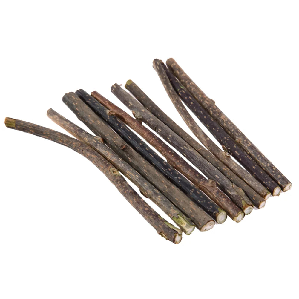 10- Natural Cat Catnip Toy Kitten Molar Chew Stick Pet – Cat Supplies