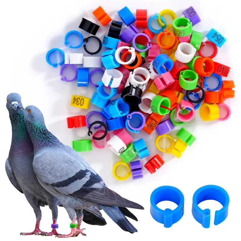 100Pcs Pigeon Foot Ring Feeding Supplies - ProPawPet.com