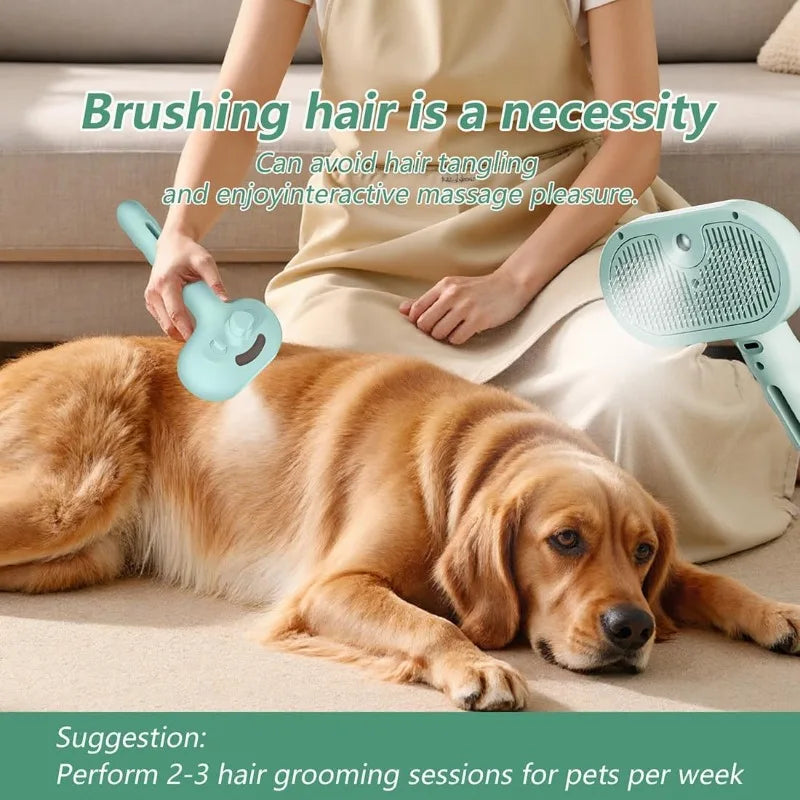 3 in 1 Cat Steam Brush Pet Spray Hair - ProPawPet.com