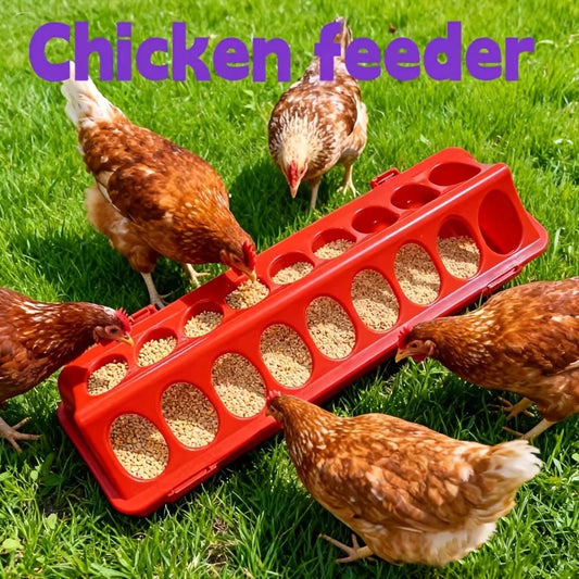Multi-Hole Chick Brooder Feeding Trough, - ProPawPet.com