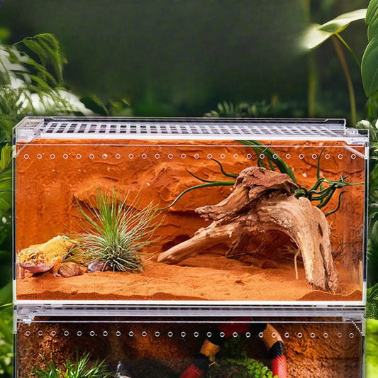 Reptile Terrarium Acrylic Container - ProPawPet.com