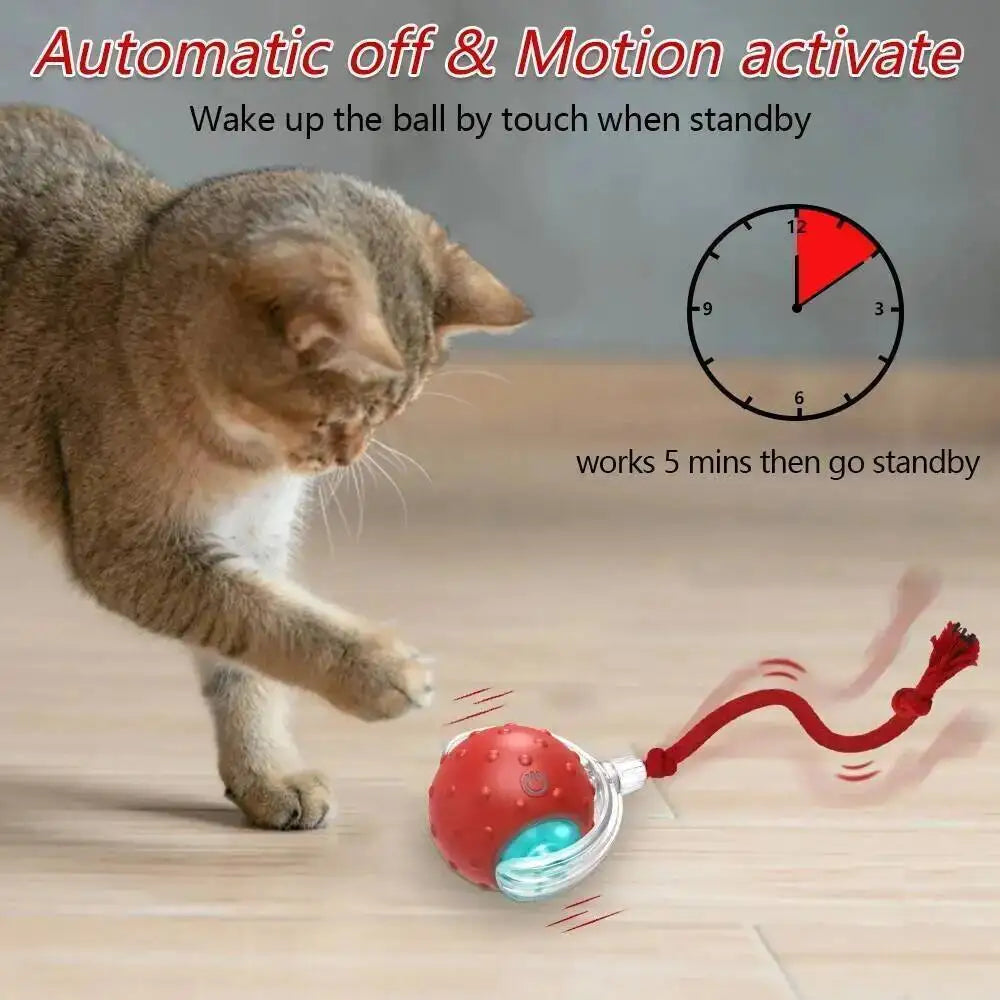 Interactive Cat Toy Ball with Bird Chirping - ProPawPet.com
