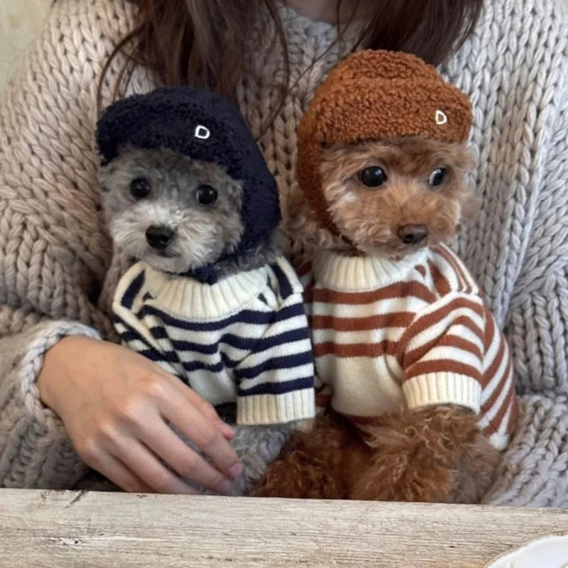 Luxury Dog Clothes Bear Striped Print - ProPawPet.com