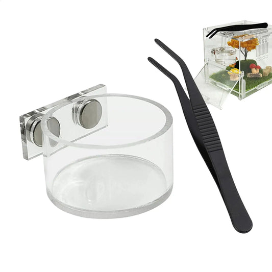 Magnetic Spider Feeding Dish Acrylic Water - ProPawPet.com
