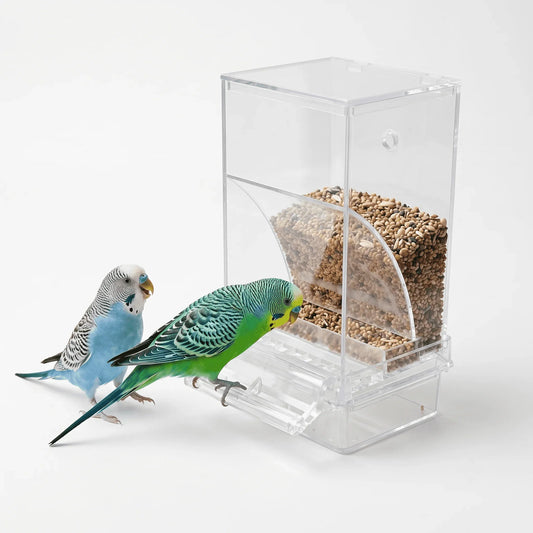 No Mess Automatic Bird Feeder Clear Acrylic - ProPawPet.com