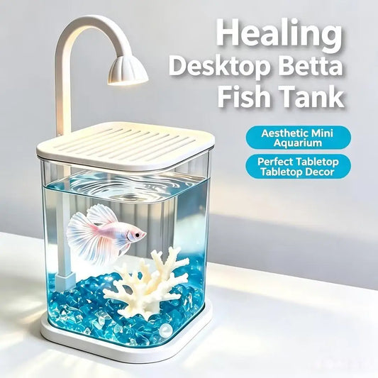 360° Transparent Desktop Fish Tank Mini - ProPawPet.com