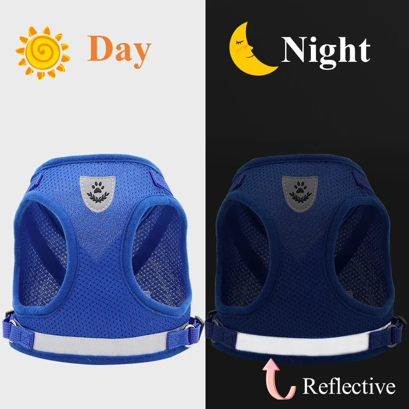 Adjustable Pet Dog Cat Harness and Leash Set - ProPawPet.com