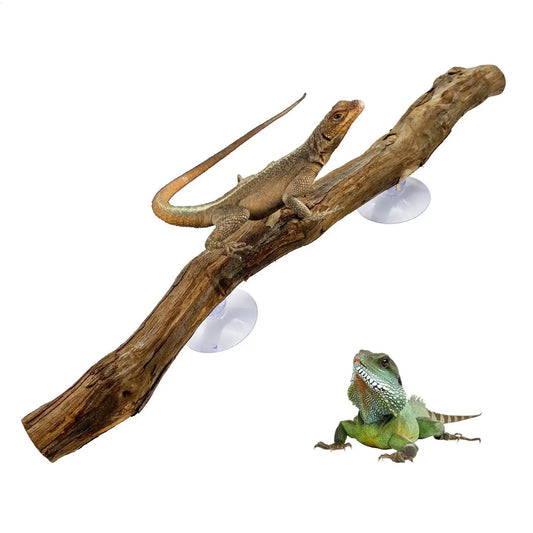 Reptile Climbing Corner Stick Non-slip - ProPawPet.com