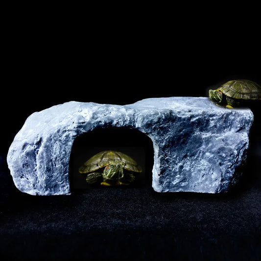 Creative Reptile Terrarium Turtle - ProPawPet.com
