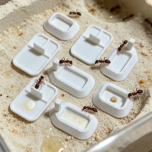 Ant Farm 3D Printing Feeding Basin Ant Water - ProPawPet.com