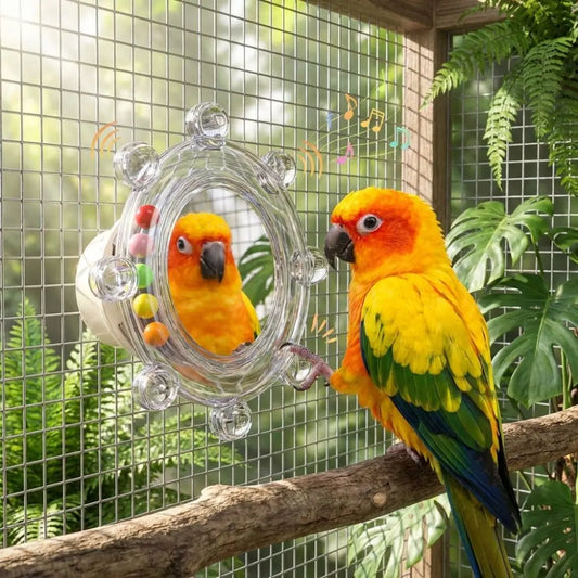Colorful Ball Parrot Mirror Toy Spinning - ProPawPet.com