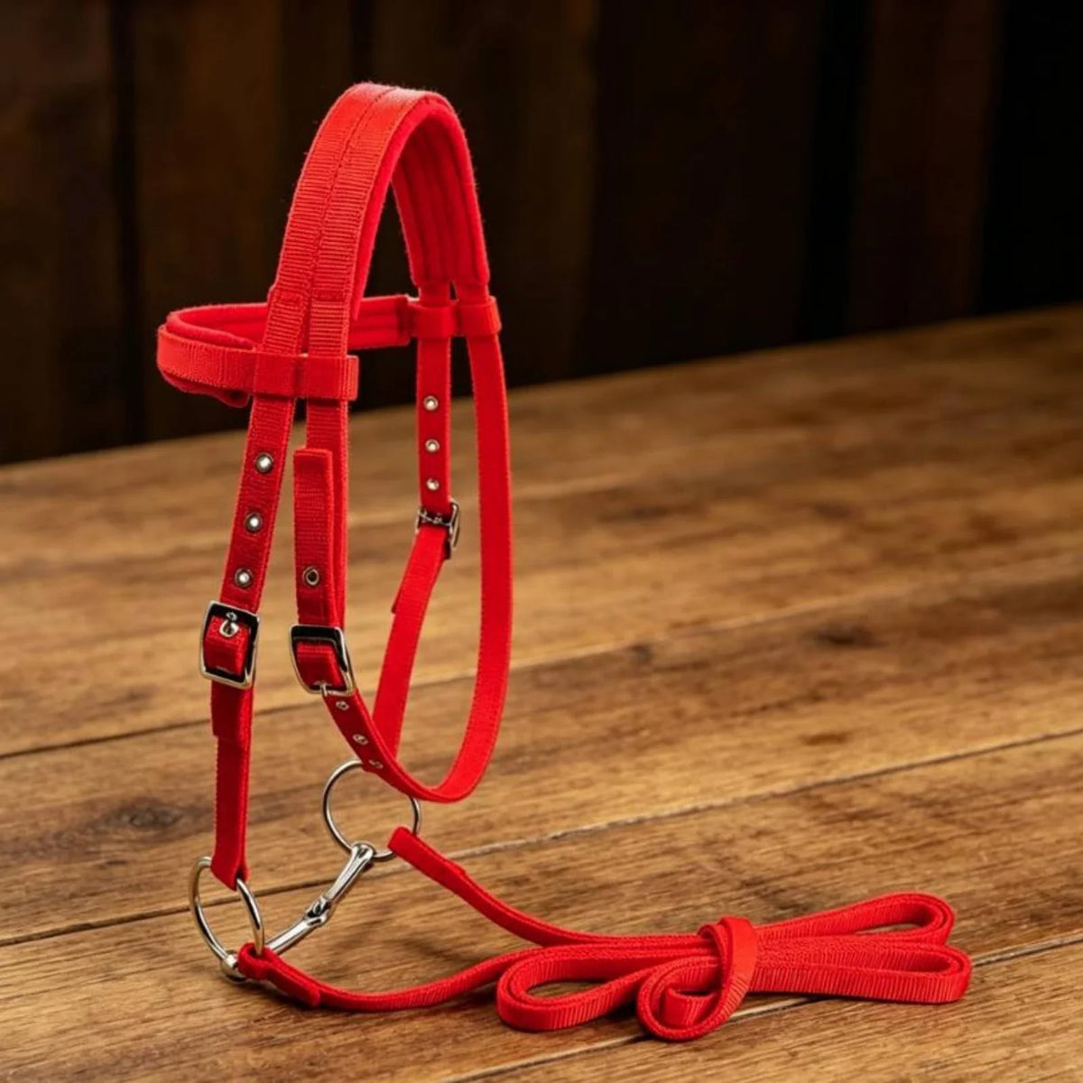 Horse Bridle with Bit Padded Adjustable - ProPawPet.com