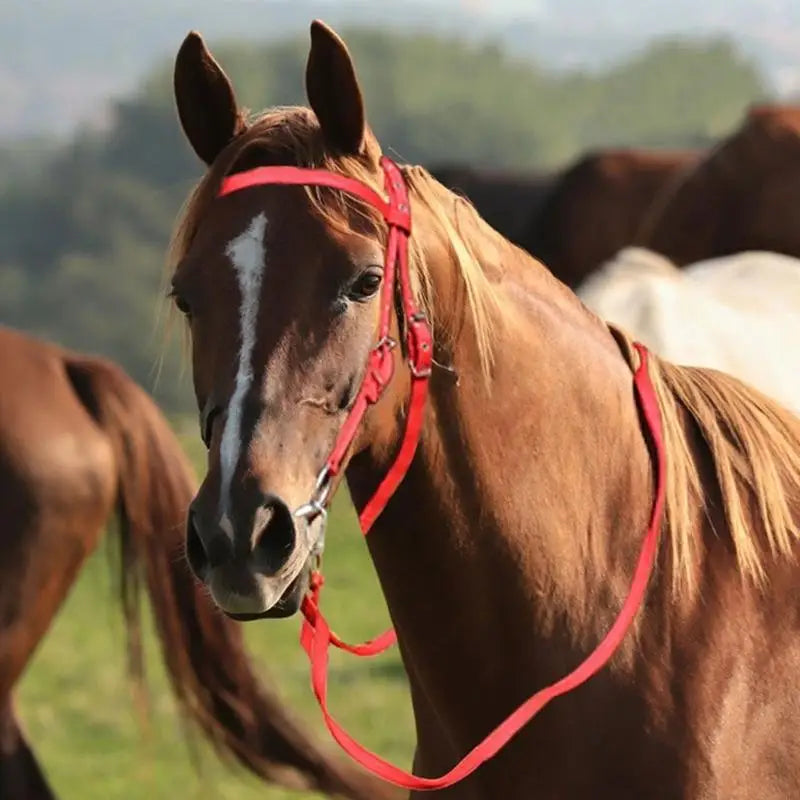 Comfortable Luxurious Leather Horse - ProPawPet.com